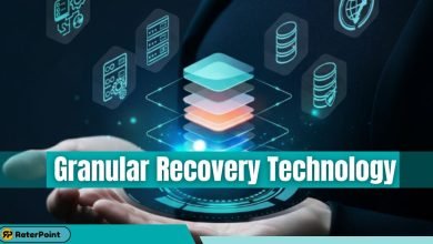 Understanding Granular Recovery Technology