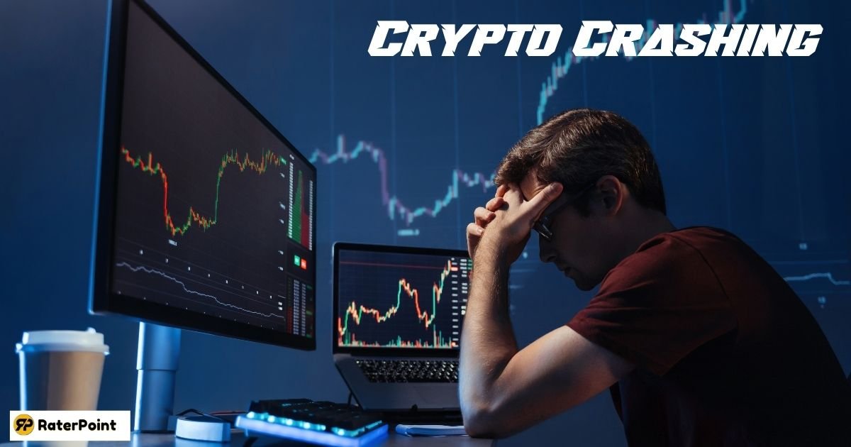 2 How Investors Can Respond During a Crypto Crash - Raterpoint Suggestions