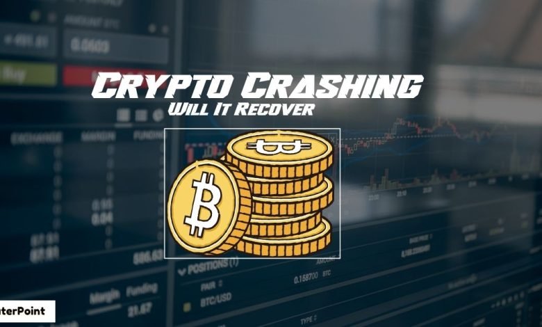 Why is Crypto Crashing and Will It Recover