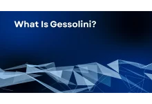 What Is Gessolini