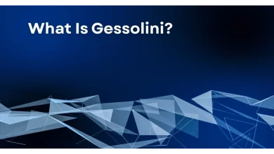 What Is Gessolini