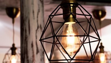 Stylish Interiors and Independent Living Spaces