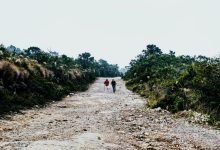 Growth of Eco-Tourism in Gujarat