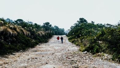 Growth of Eco-Tourism in Gujarat